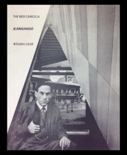 American poster[15]