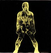 Born in Flames 1980