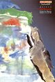 Thumbnail for version as of 22:27, 25 May 2025