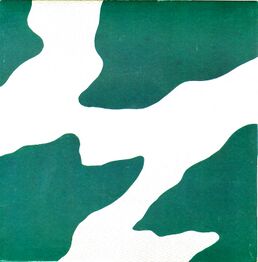 Wives in Orbit 1978