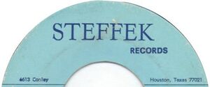 Steffek-Records.jpg
