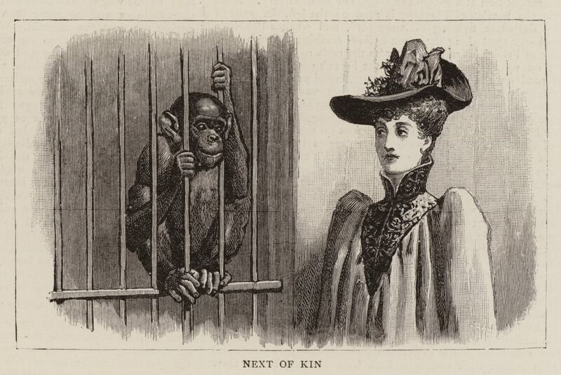 File:Corky-illustration.jpg
